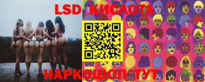 PSILOCYBIN Дубна