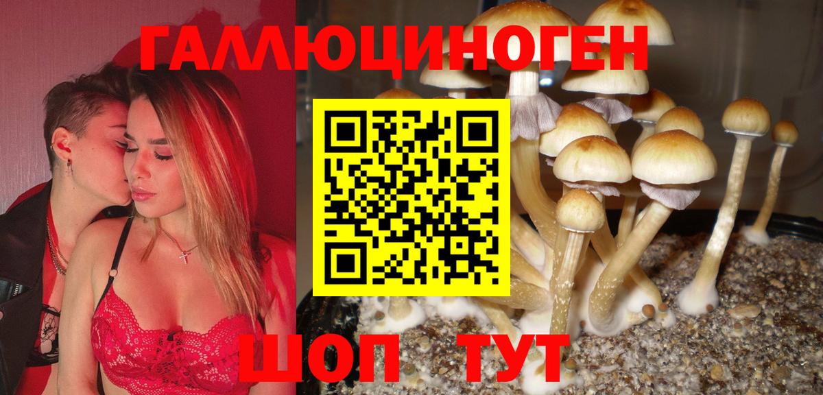 Галлюциногенные грибы Psilocybe Менделеевск