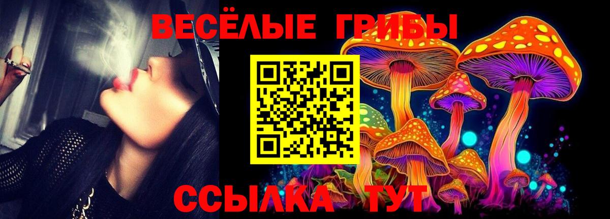 Менделеевск  Псилоцибиновые грибы мицелий  хочу наркоту  Вход с VPN 